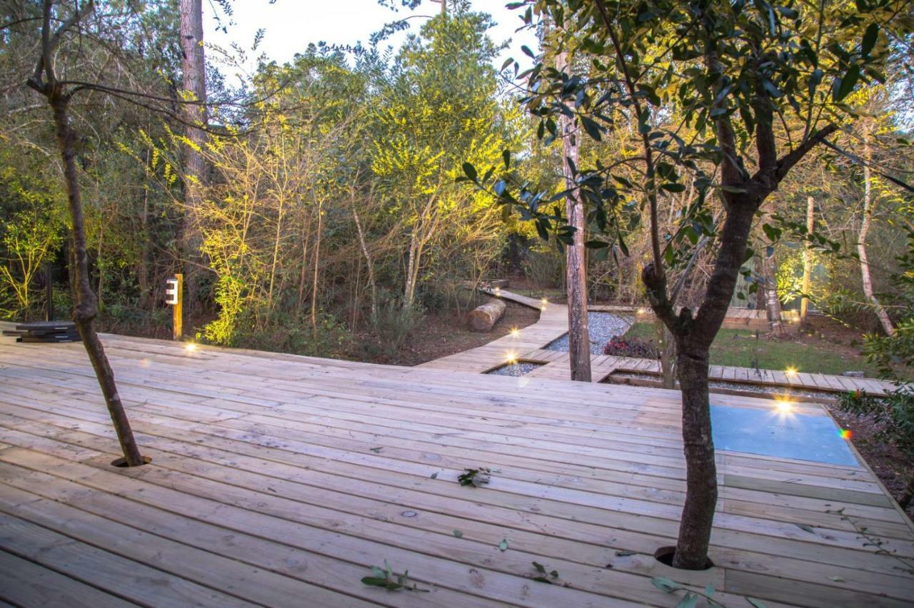 Sisepuede Ocean Park Exterior photo